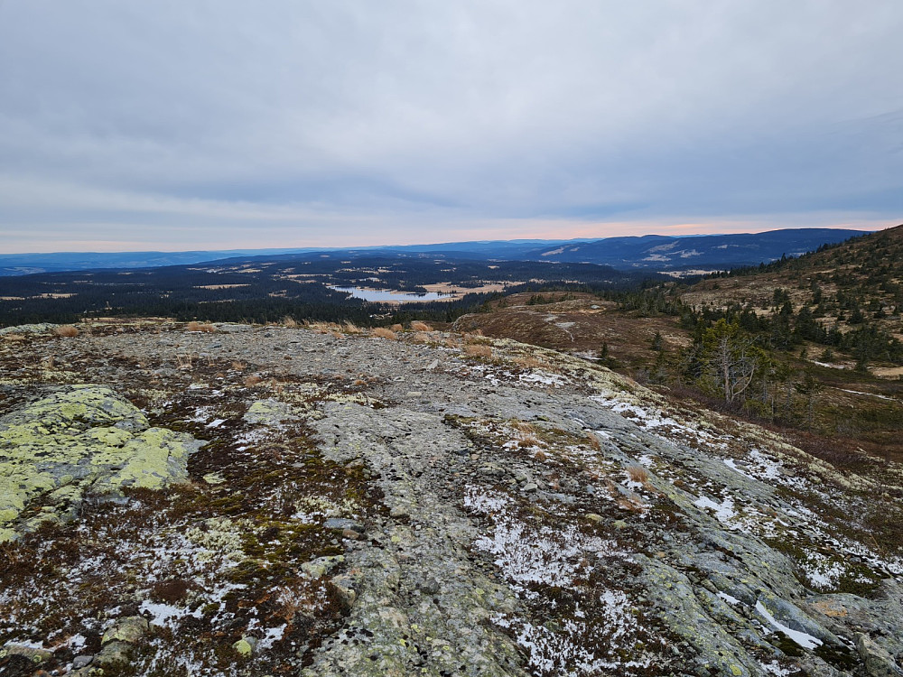 Rævskorotjønnhaugen