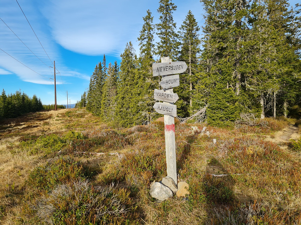 Løypekryss under høyspenten