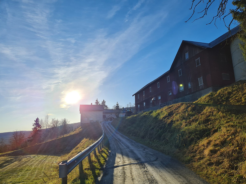 Nygaard