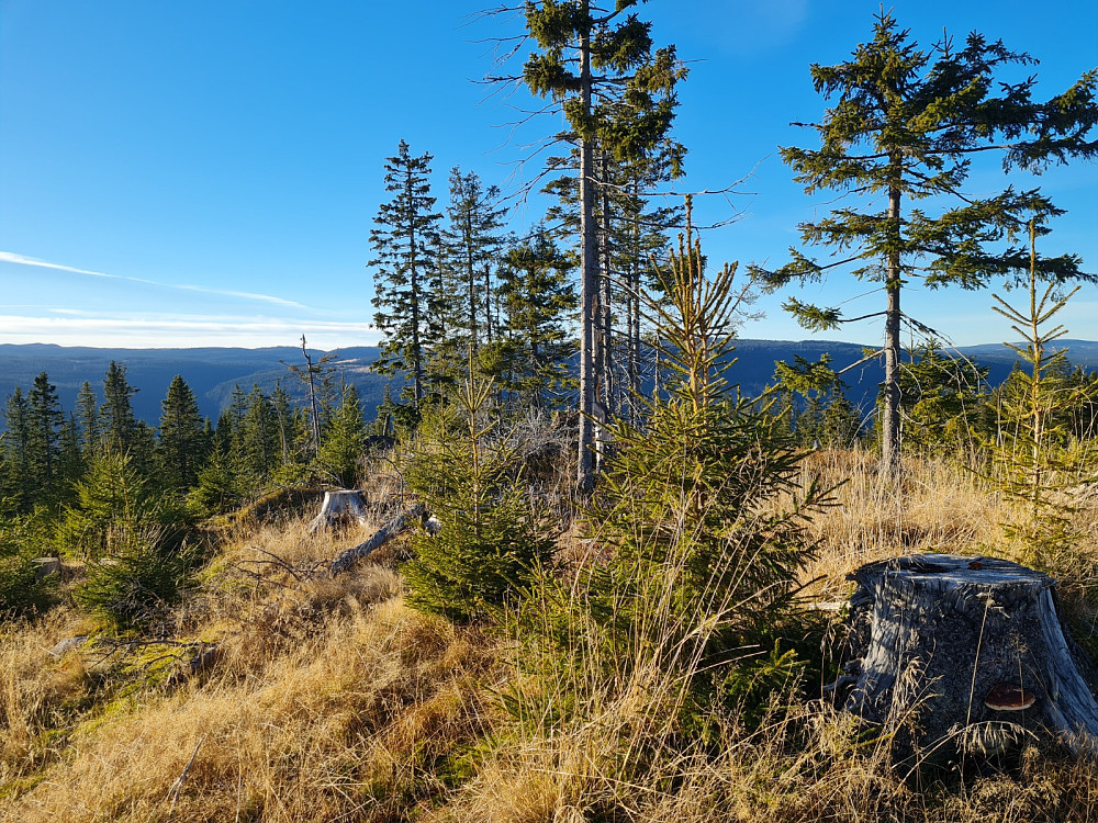 Finsrudbekkhøgda