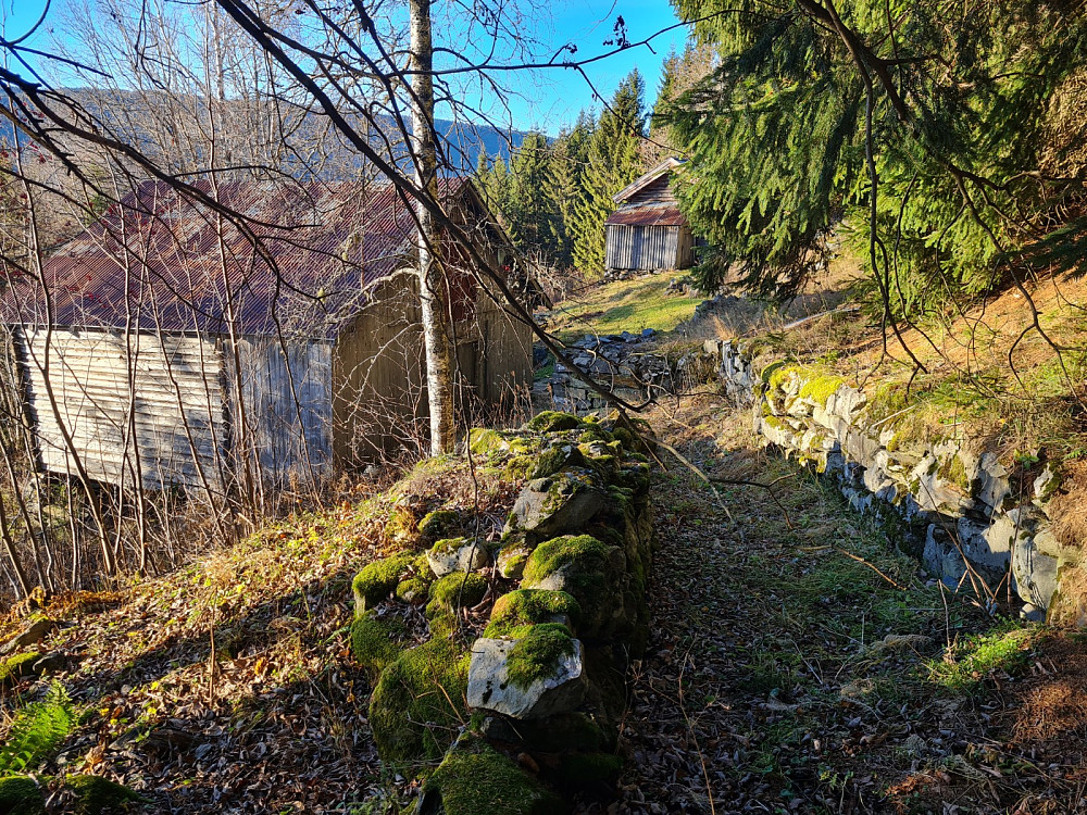 Gutua