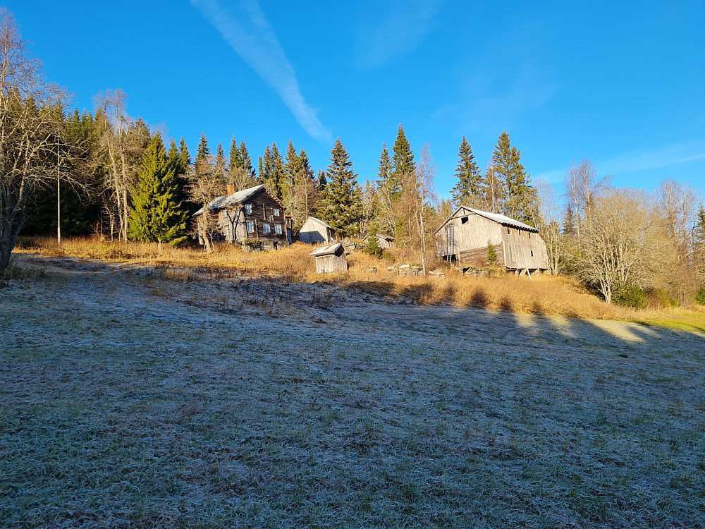 Hammershaug