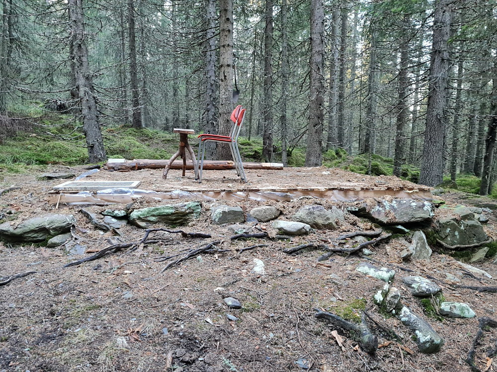 Her sto skogskoia til Søre Iverslien