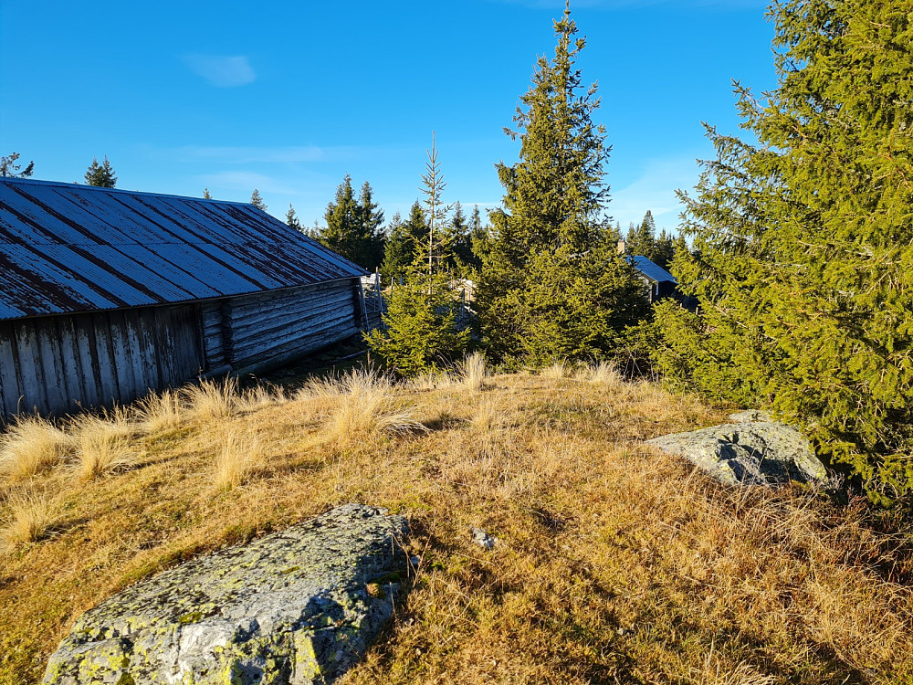 Rindåsen