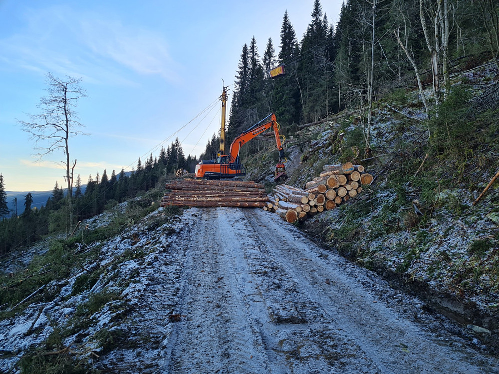 Hogst i Brattbakken, Sveabergvegen