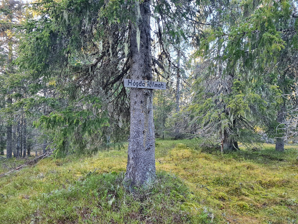 Storseterhøgda