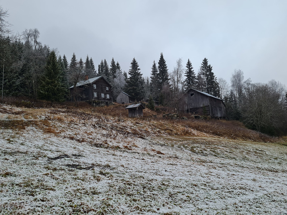 Hammershaug
