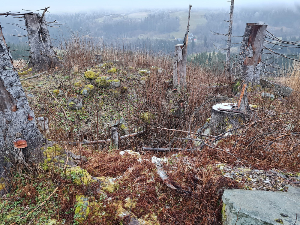 Hustuft, husmannsplassen Hammershaughagebakken
