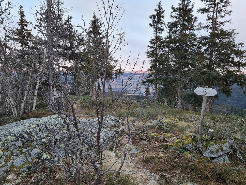 Vardkampen