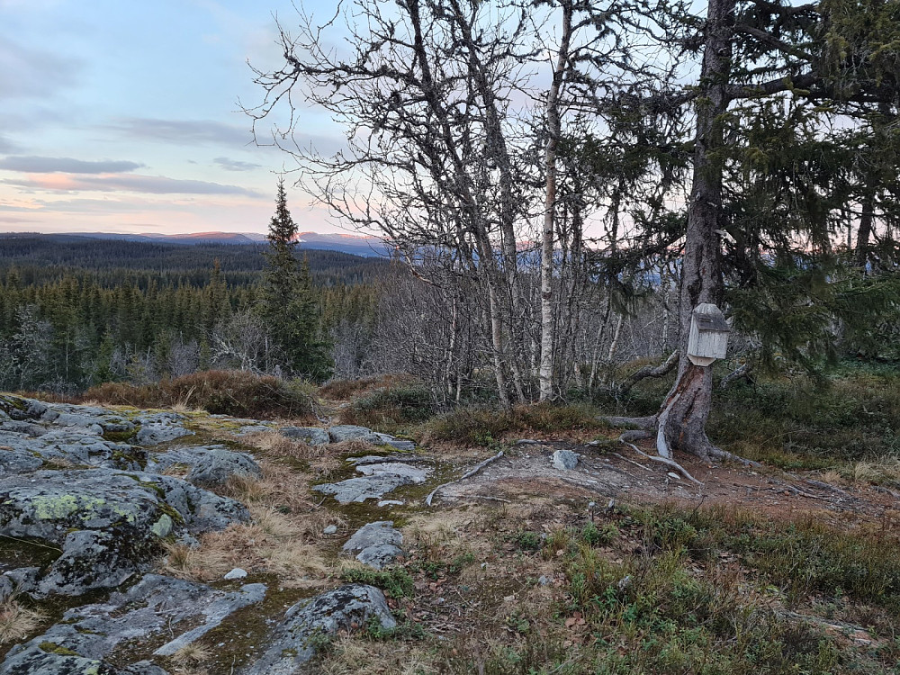 Vardkampen