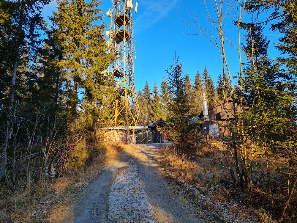 Korpberget
