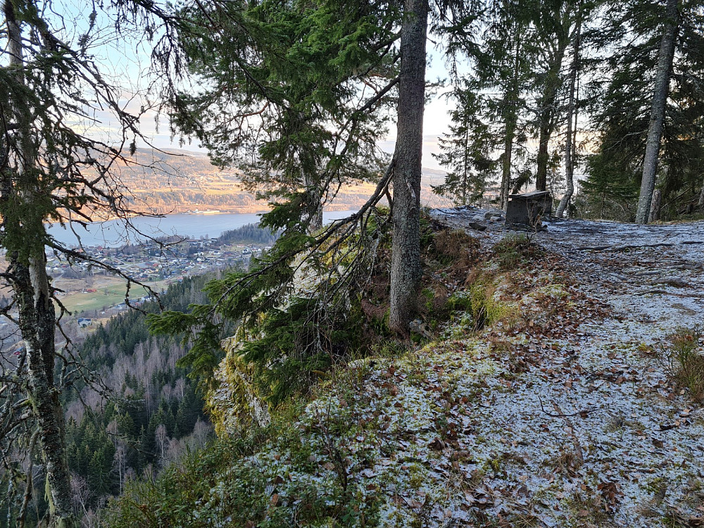 På Korpberget, mye tørrgran i lia under toppen