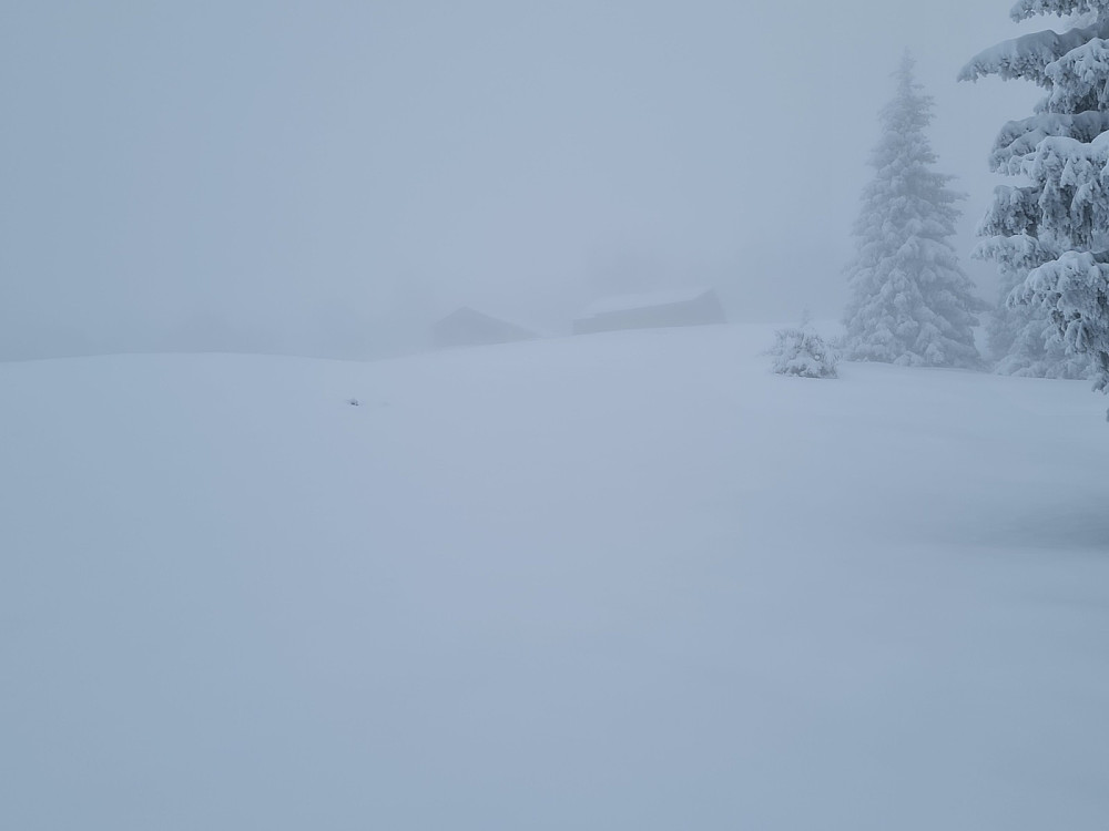 Storsætra
