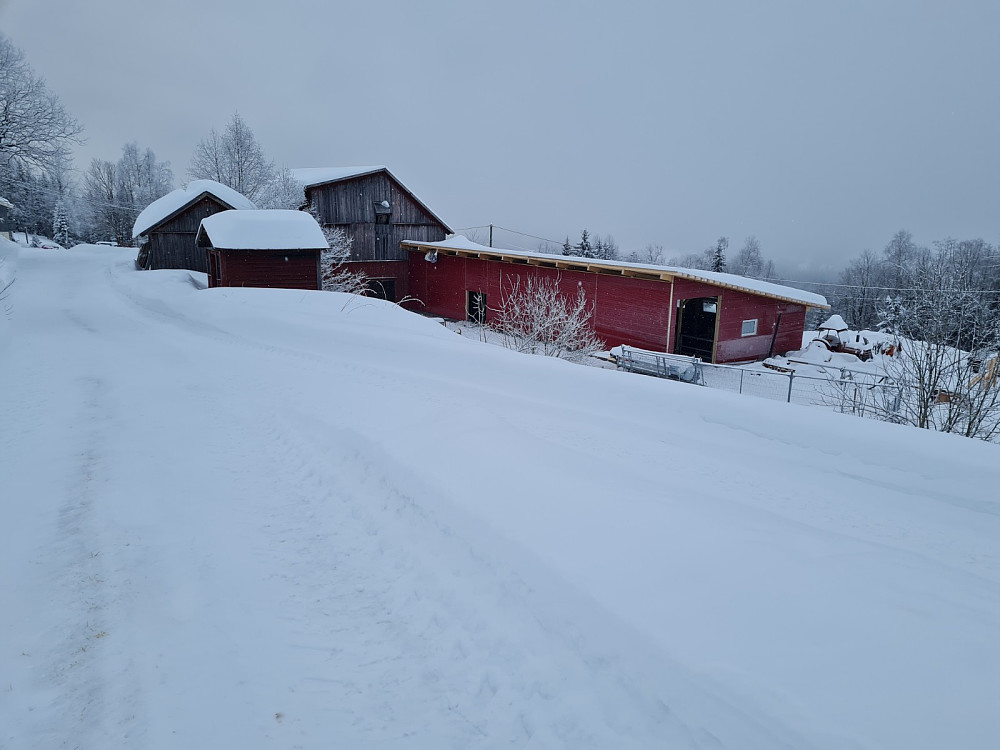 Nytt fjøs i Nygaardssvea