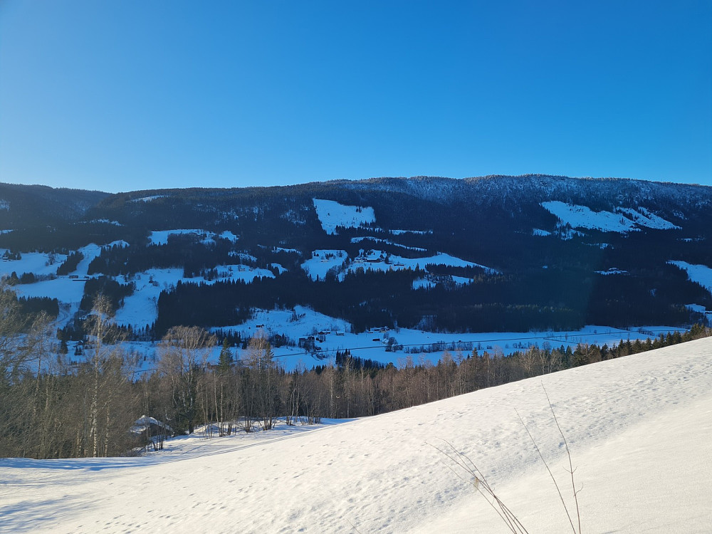 Mot baklia