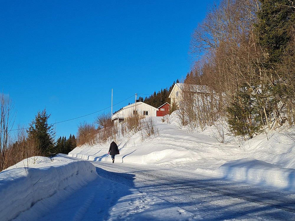 Ulsrudrønningen
