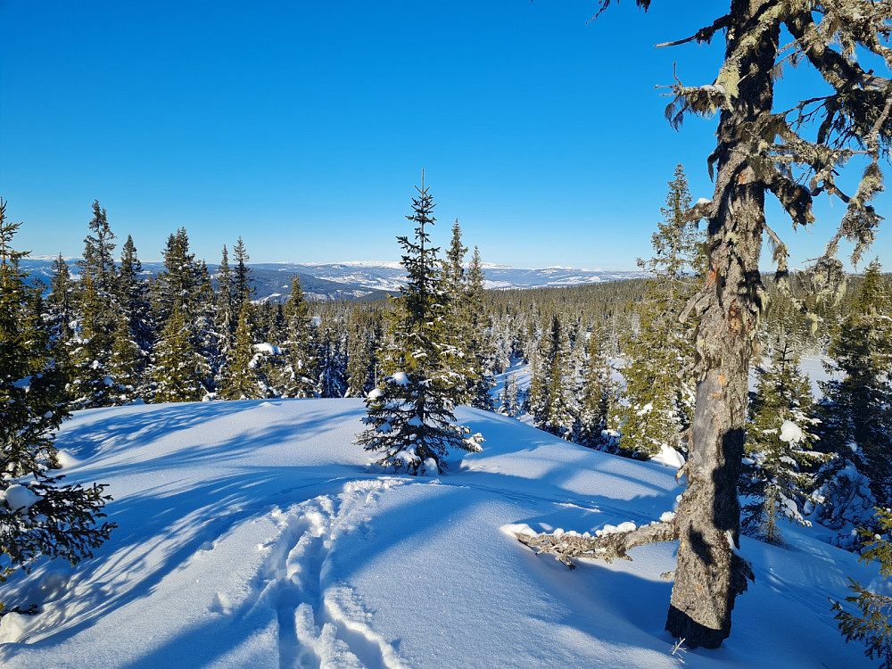 Rindåsen trigpunkt