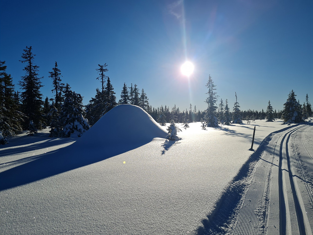 Grågampen