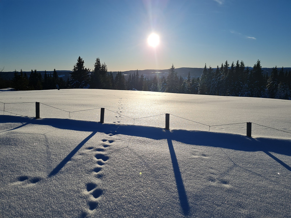 På Rindåsen