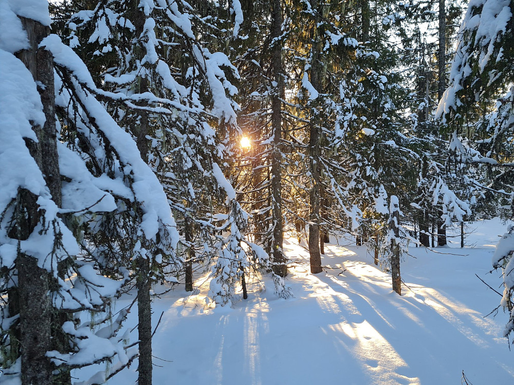 Vesleseterhøgda