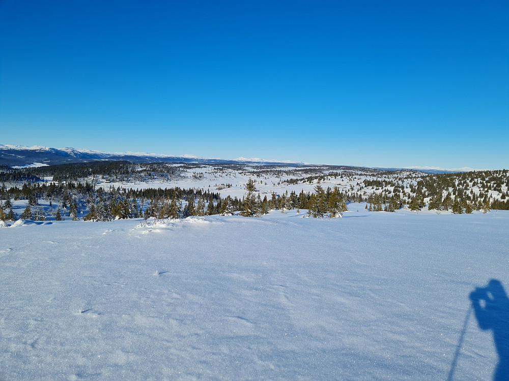 På Sørvestre Toftfjellet