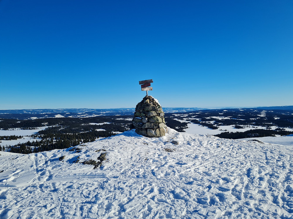 Prestkjerringa