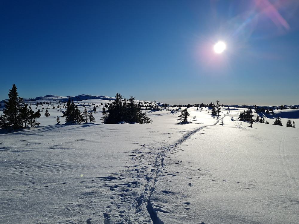 På Condruphaugen