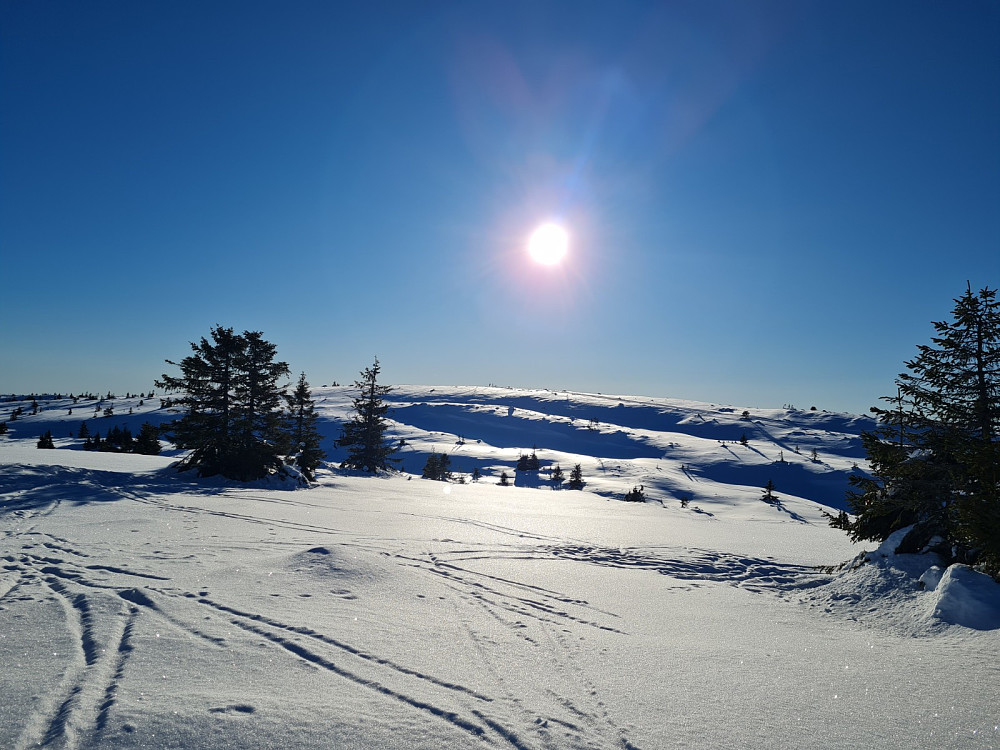 Lunkefjellet sett fra Lunkefjell V 1