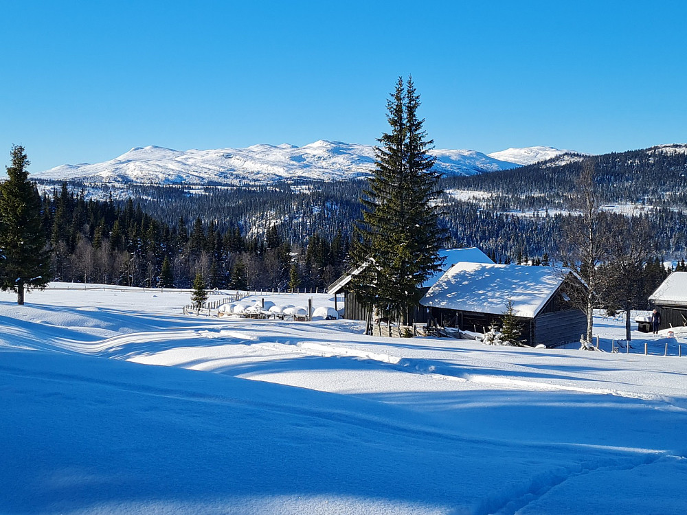 Paulsrudsetra på Blæstern, med Synnfjellet bak