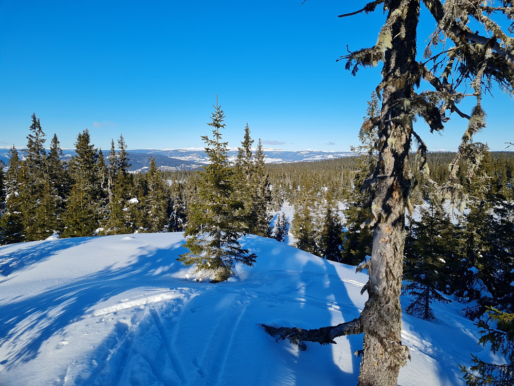Rindåsen trigpunkt