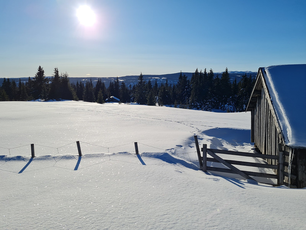 På Rindåsen