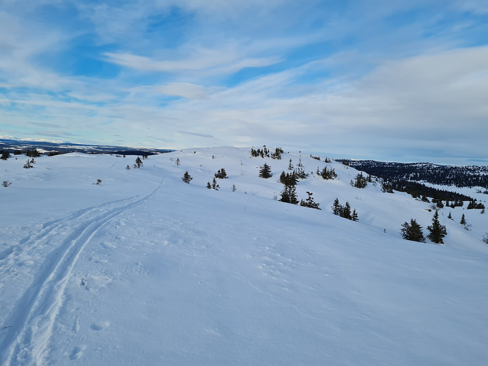 På Kjettberget, mot høyeste punkt på Torpevassfjellet