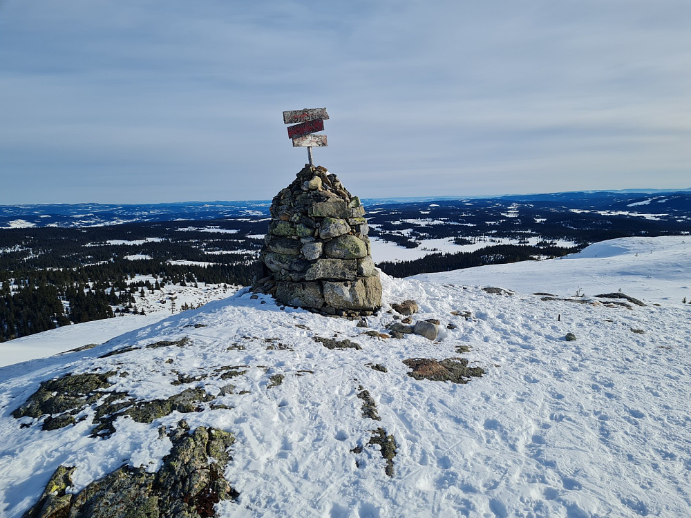 Prestkjerringa