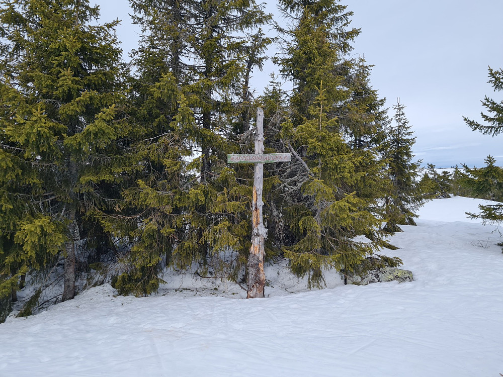 Appelsinhaugen