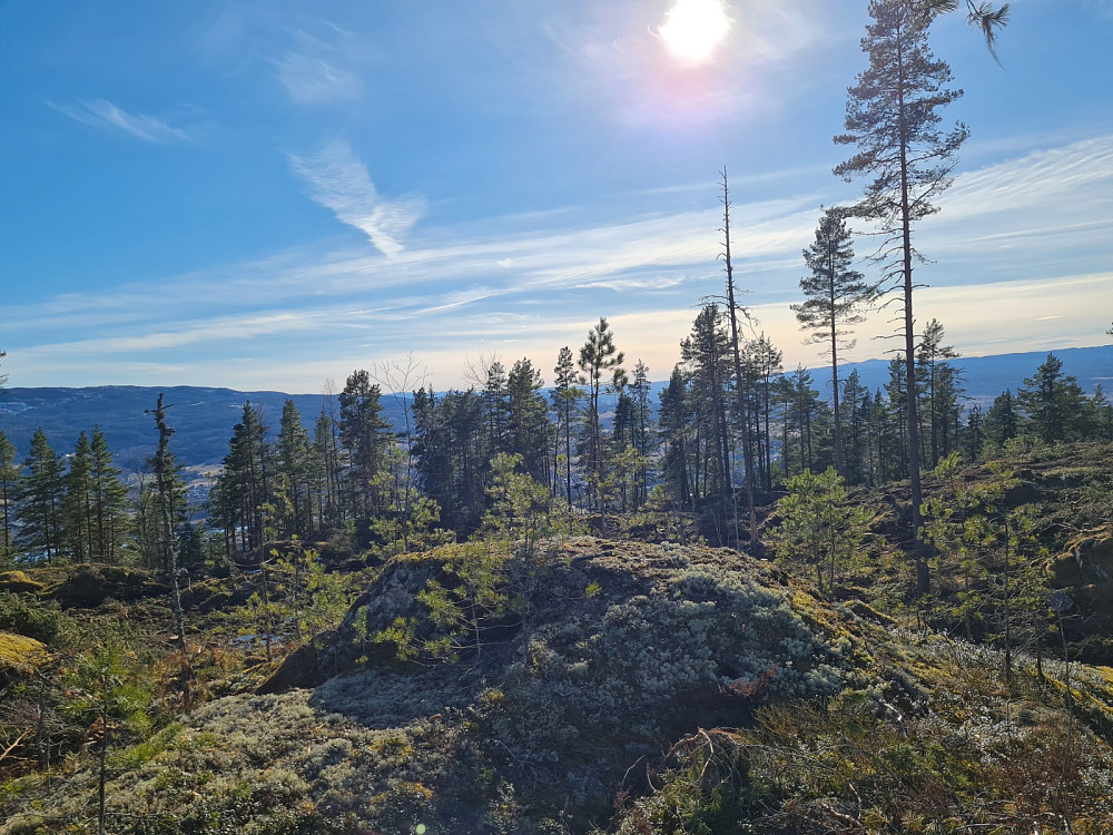  Bjørnemyrhaugen