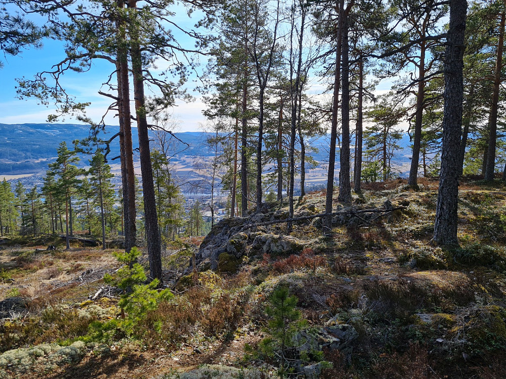 På Stutdalsfjellet