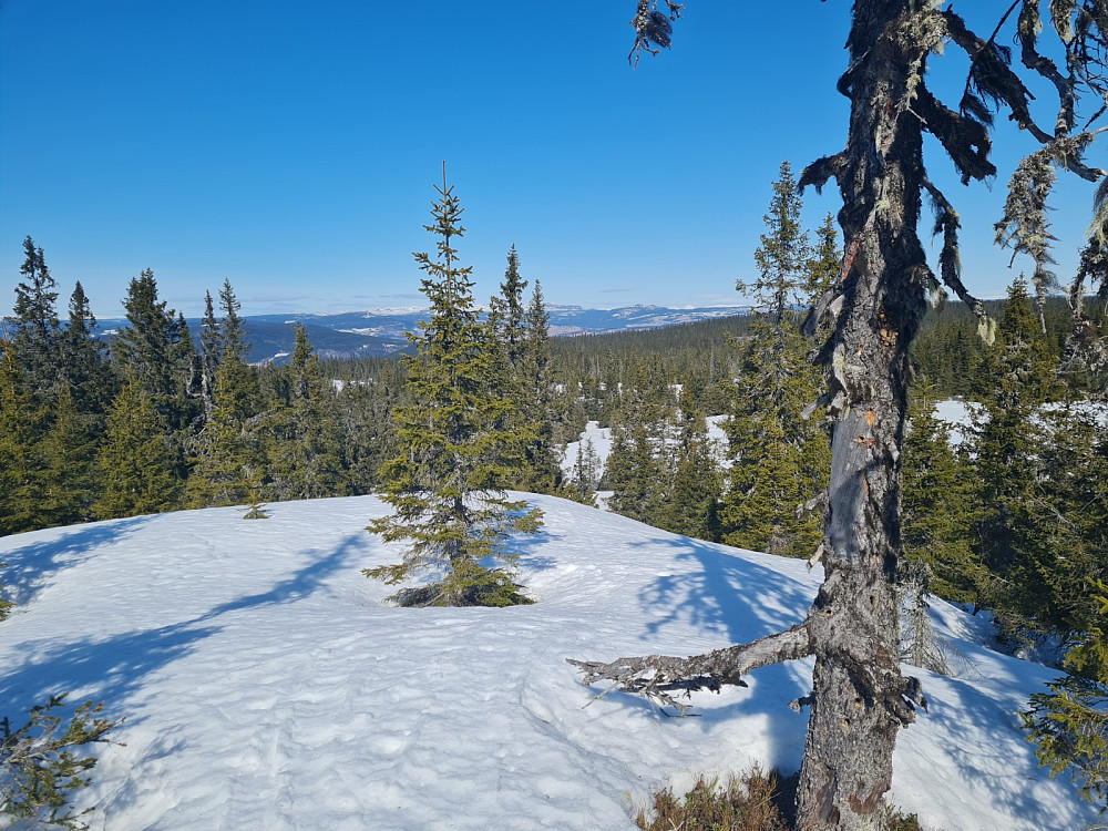 Rindåsen trigpunkt