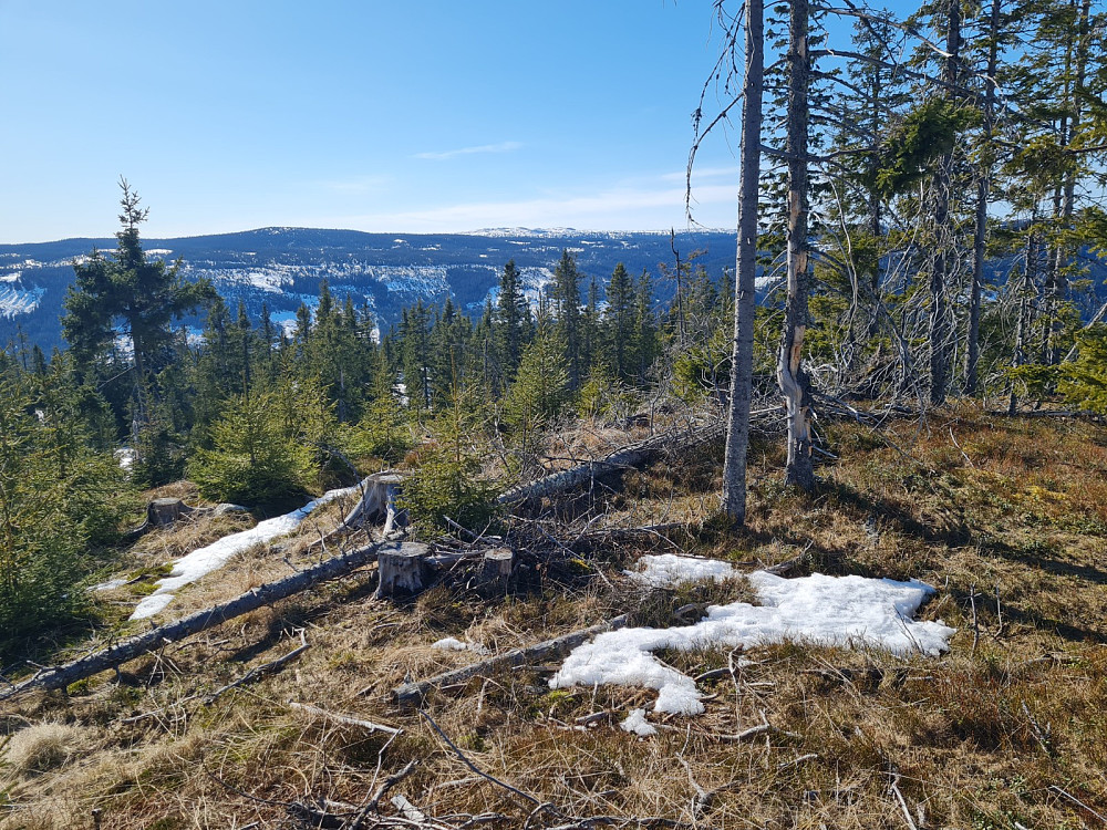 Finsrudbekkhøgda