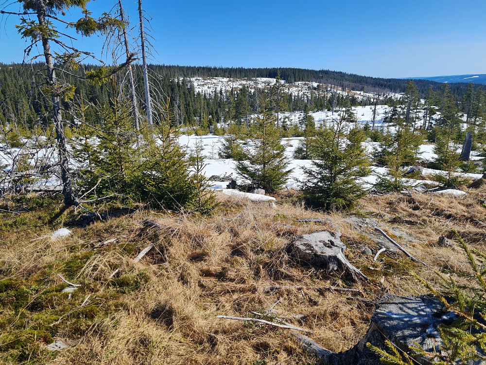 Finsrudbekkhøgda