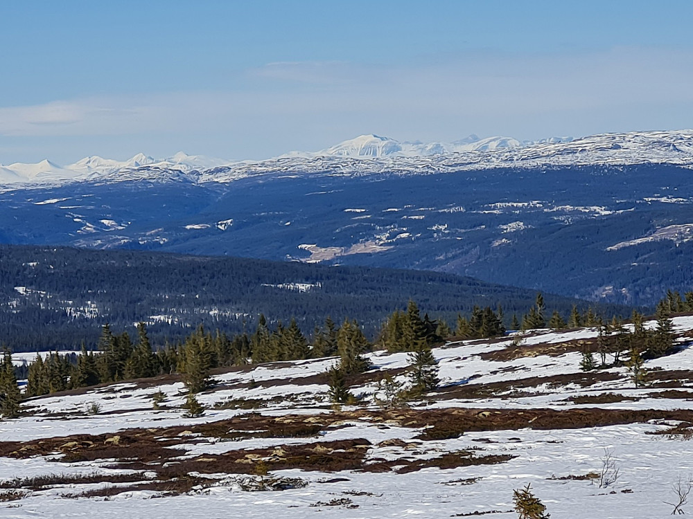 På Hærfjellet, mot Rondane