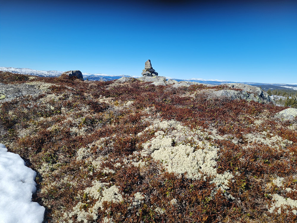 Blesterråkvarden