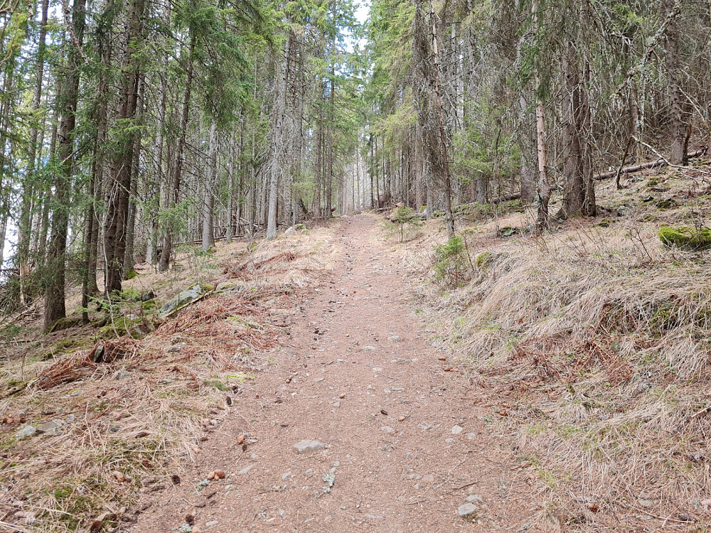 Løytnantstien