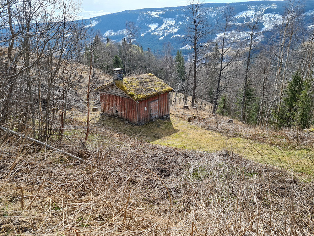 Smiua i Ulsrud