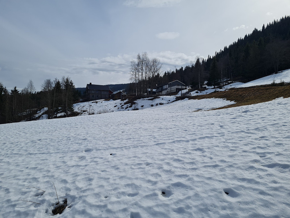 Nygaardssvea