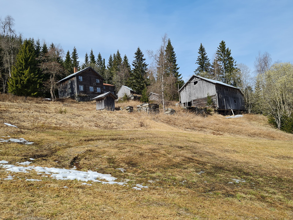 Hammershaug