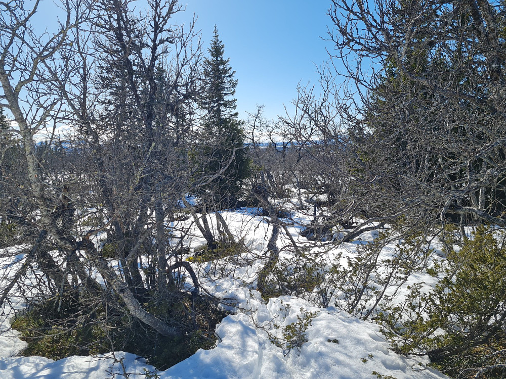 Værskeitoppen