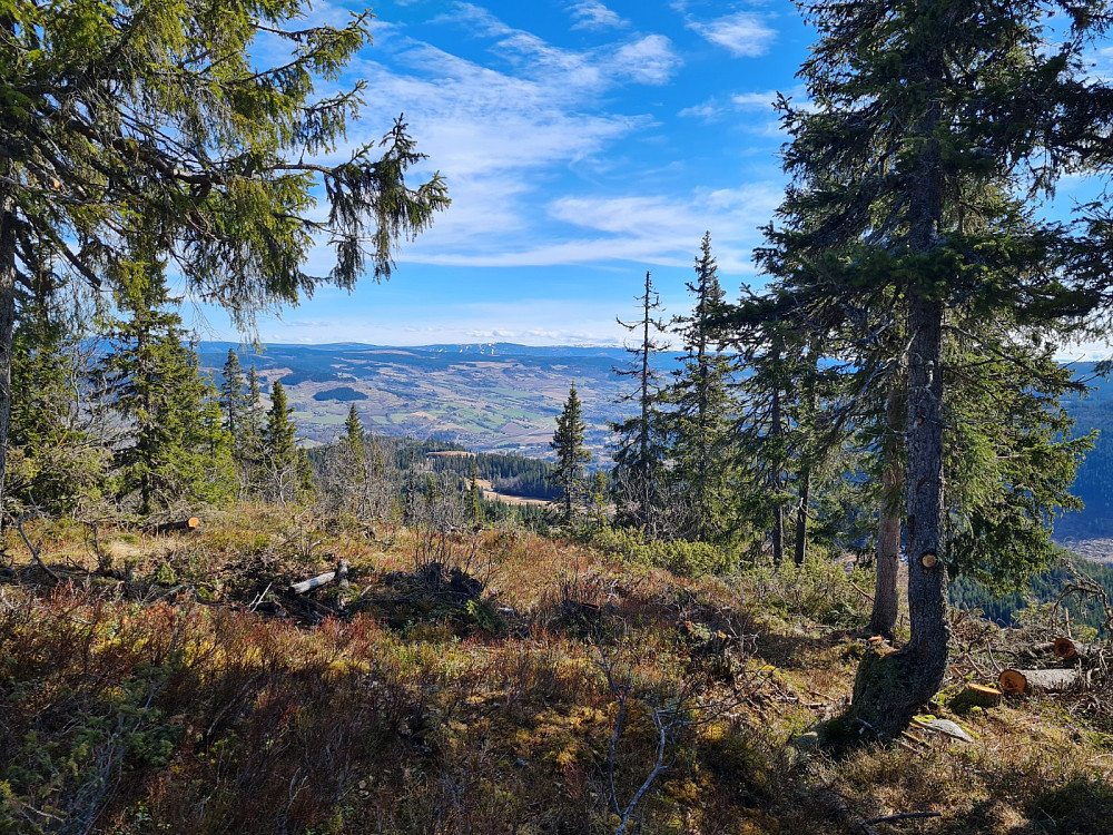 På Vardkampen