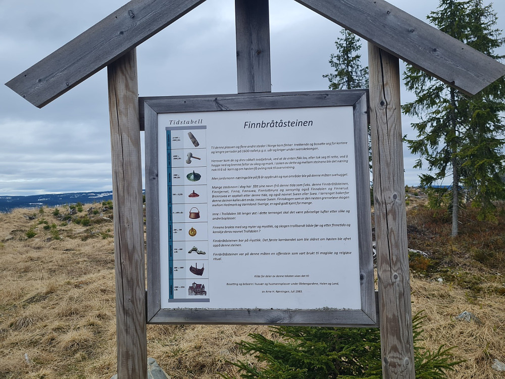 Info om Finnbråtasteinen