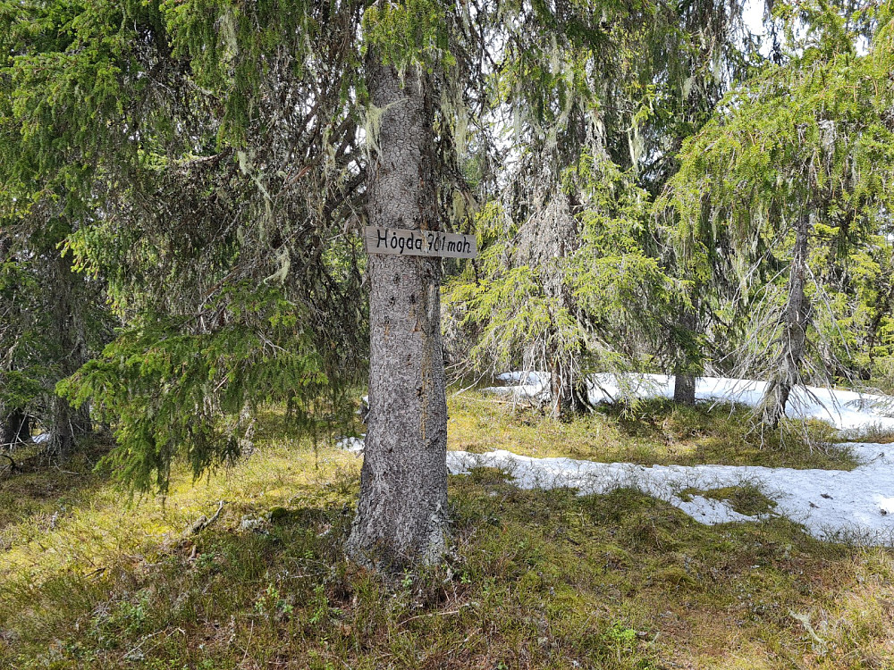 Storseterhøgda