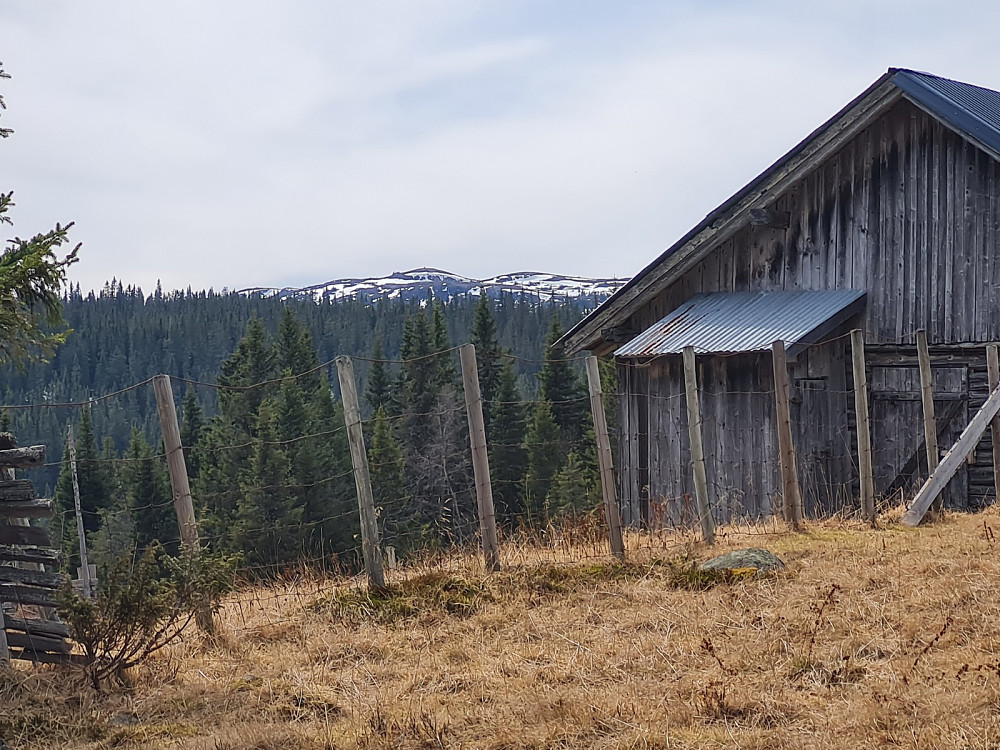 På Voldsetra mot Gammelhans